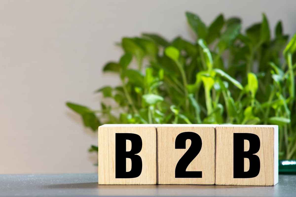 génération de leads b2b